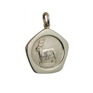9ct Gold 21mm five sided Capricorn Zodiac Pendant