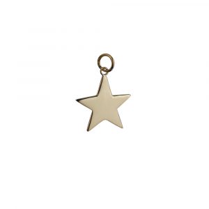 9ct Gold 19mm Star Pendant or Charm